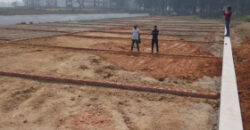 Plot Sale in Sec 145