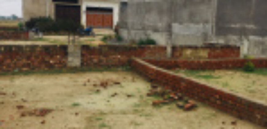 Plot Sale in Sec 145