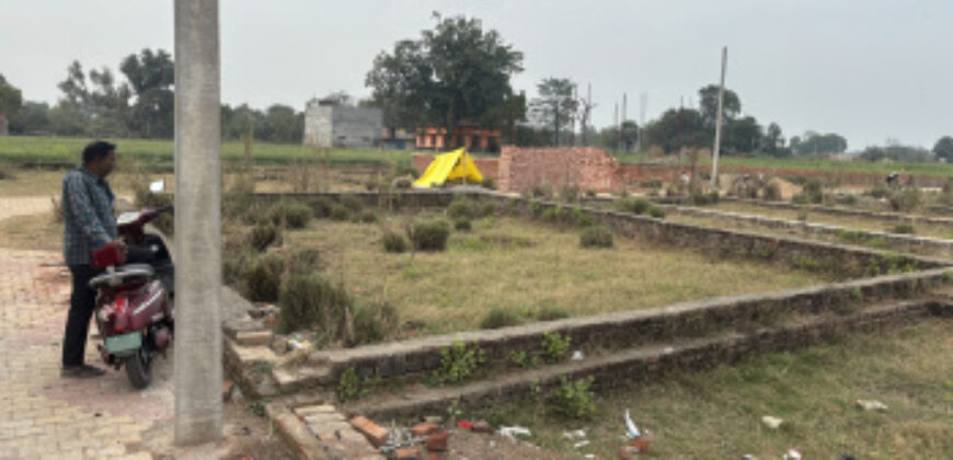 Plot Sale in Sec 145