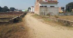 Plot Sale in Sec 145