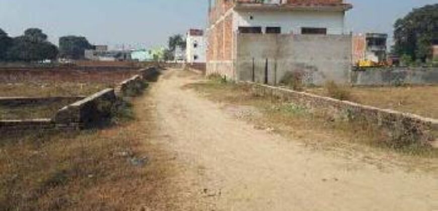 Plot Sale in Sec 145