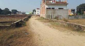 Plot Sale in Sec 145