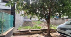 Plot Sale in Sec 116