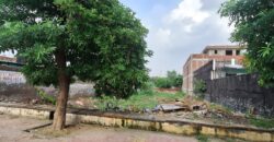 Plot Sale in Sec 116